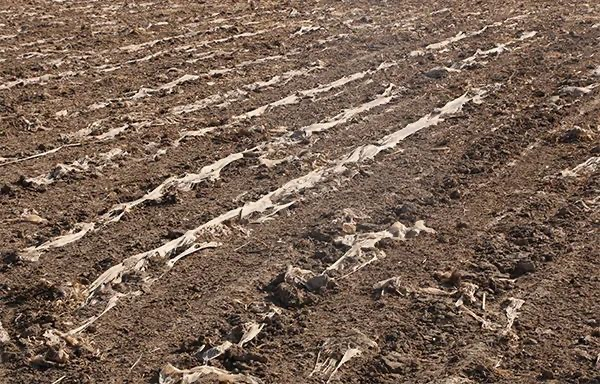 1700656436998164.png 1700656436998164.png